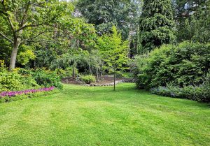 Optimiser l'expérience du jardin à Avernes-sous-Exmes